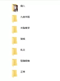 [转载搬运] 最终幻想/三国无双、斗罗大陆等35种姿势高品质无码3D同人... [1+11GB][其他下载方式]